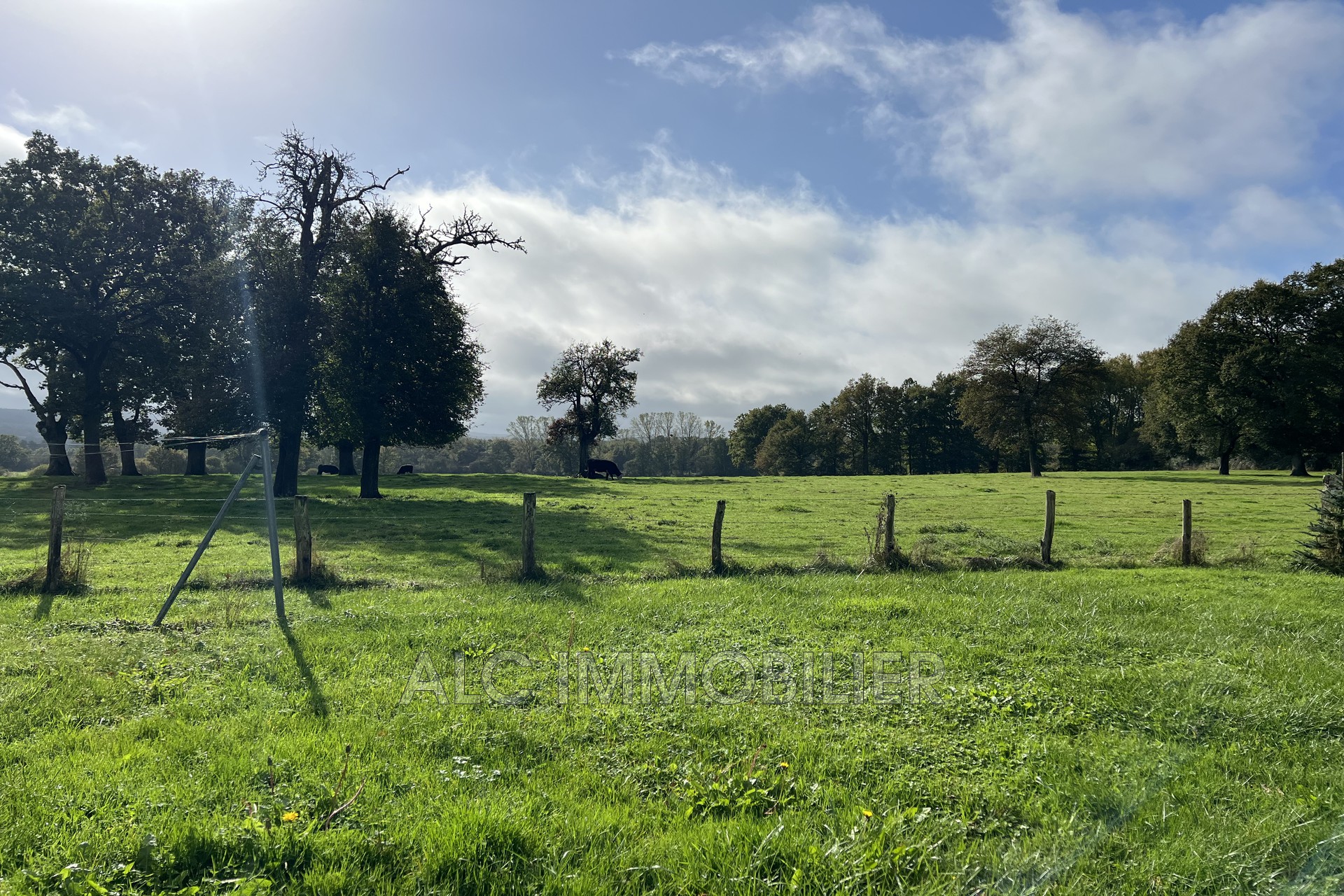 CORPS DE FERME BIO DE 85 HECT SECTEUR ENTRE LE PERCHE ET ALENC